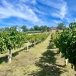 Bed & Breakfast Residenza Marrone
