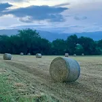 Residenza Marrone 4*