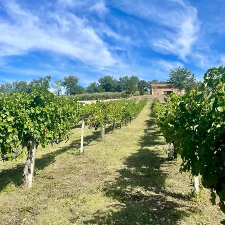Bed & Breakfast Residenza Marrone