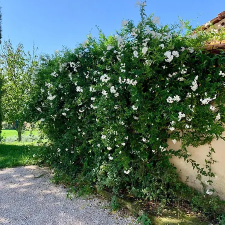 Residenza Marrone 4*
