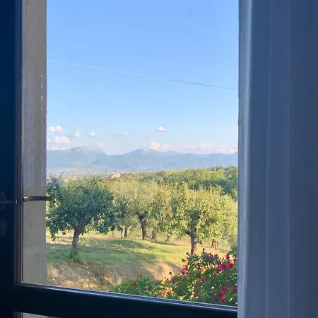 Residenza Marrone 4*