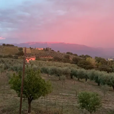 Bed & Breakfast Residenza Marrone