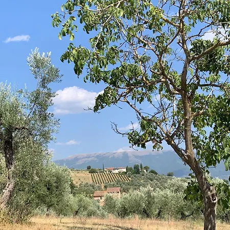 Residenza Marrone Bed & Breakfast Montefalco