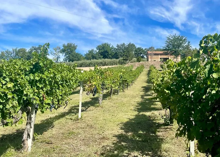 Bed & Breakfast Residenza Marrone