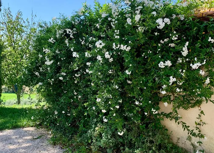 Residenza Marrone 4*