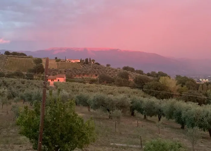 Bed & Breakfast Residenza Marrone