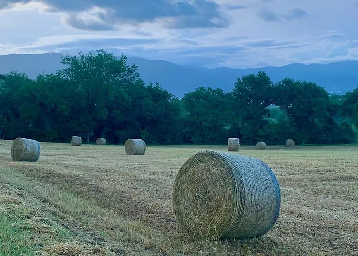 Residenza Marrone 4*