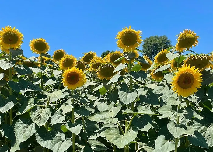 Bed & Breakfast Residenza Marrone 4*