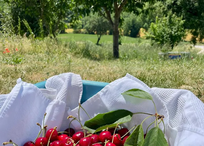 Bed & Breakfast Residenza Marrone 4*